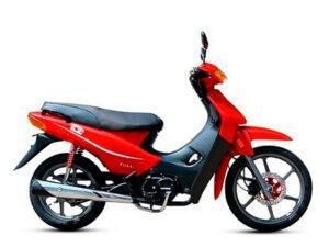 GUERRERO TRIP 110 ECONO   110cc