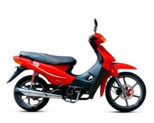 GUERRERO TRIP 110 ECONO   110cc